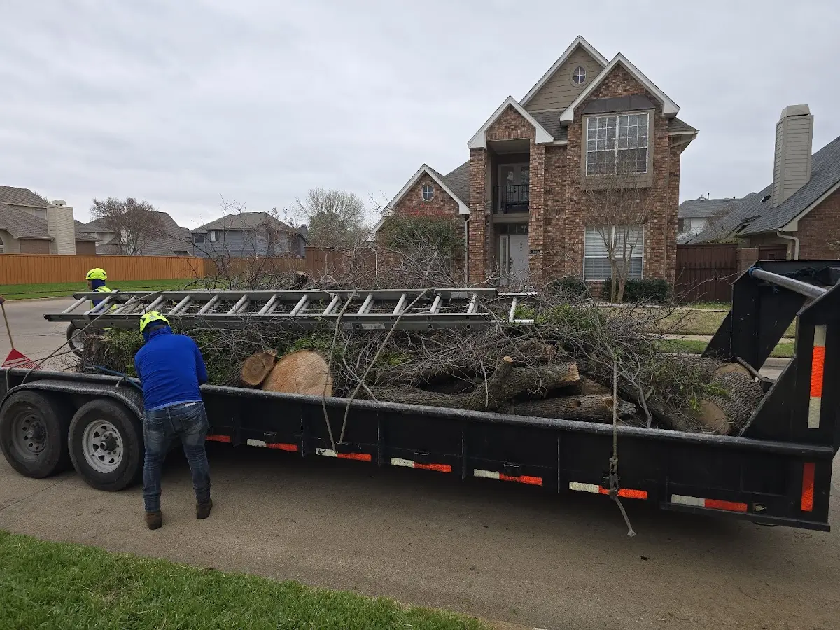 Expert Tree Fertilization with proper safety equipment in Paradis